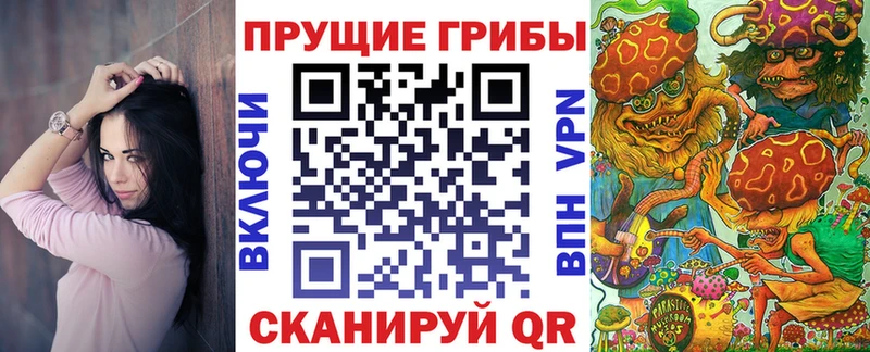 Купить закладки  Апрелевка  Псилоцибиновые грибы GOLDEN TEACHER 